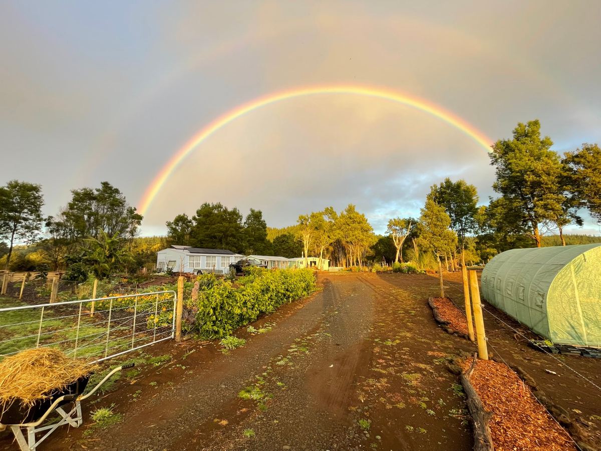 A rainbow over the track and paddocks on Red Ants Farm, a lifestyle block outside Kaikohe