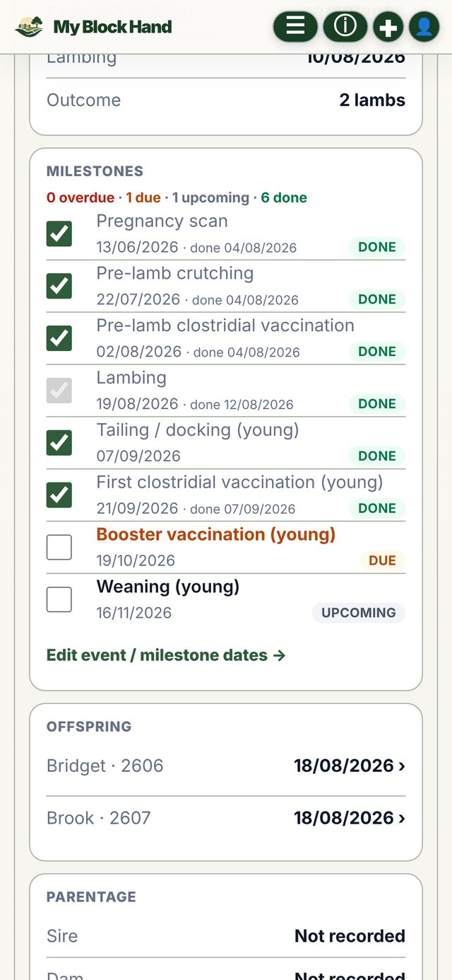My Block Hand breeding milestones for a ewe, from pregnancy scan to weaning, with done and upcoming steps