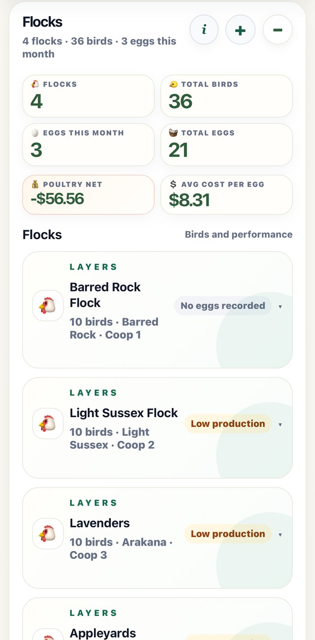 My Block Hand Flocks screen, showing real flocks and egg production
